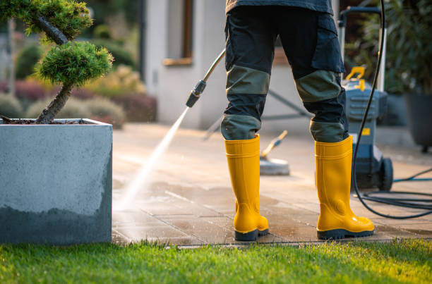 Best Pressure Washing Company Near Me  in Caledonia, MI